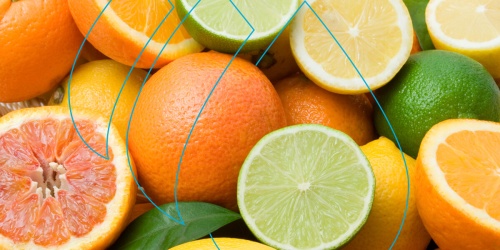 Zesty Creations: Unleashing Citrus Flavor Innovation in Beverages